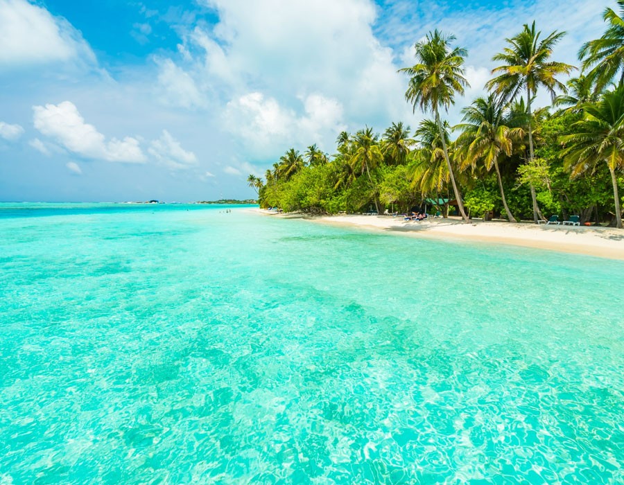 The Digital Detox: Why Unplugging is Essential